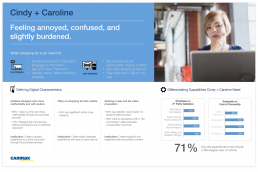 Segment-driven personas